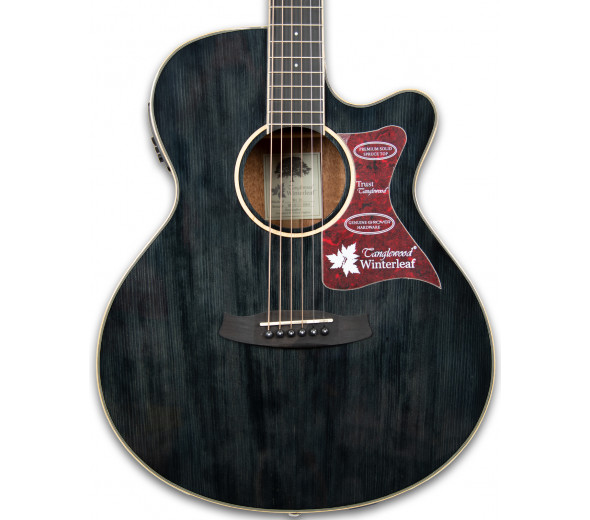 Tanglewood TW4 BS Tanglewood TW4 BS